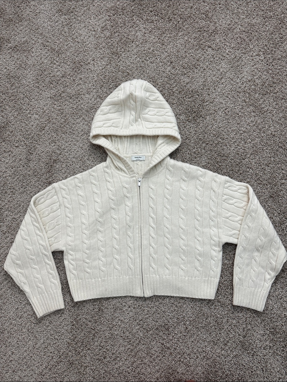 Aritzia Sunday Best Octavia zip hoodie size S